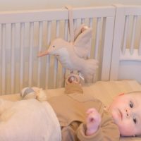 Babybello Spieluhr Vogel